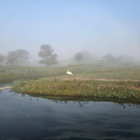 De Schelp 58 잔드보르트