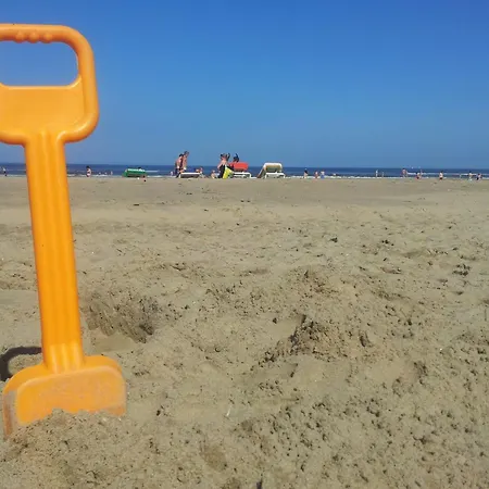 De Schelp 58 * 잔드보르트