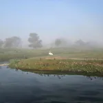 De Schelp 58 Zandvoort