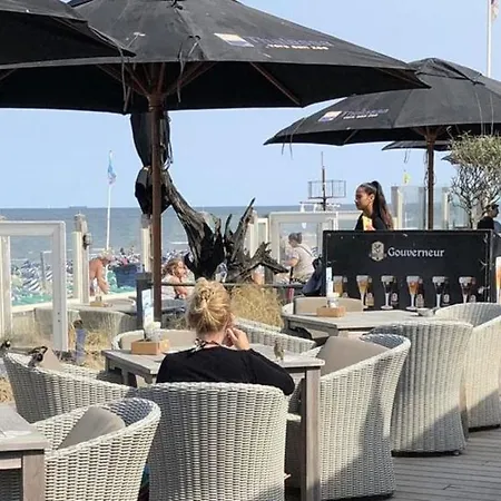 Apartment De Schelp 58