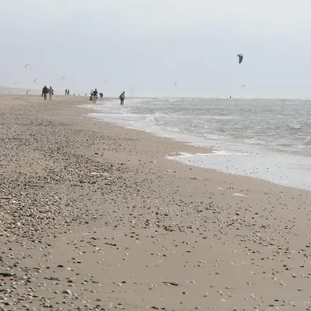 Lägenhet De Schelp 58