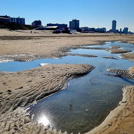 De Schelp 58 * Zandvoort