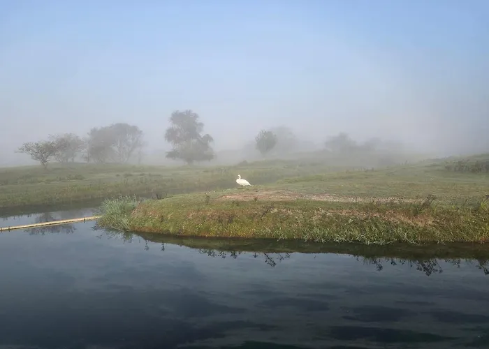 De Schelp 58 Zandvoort
