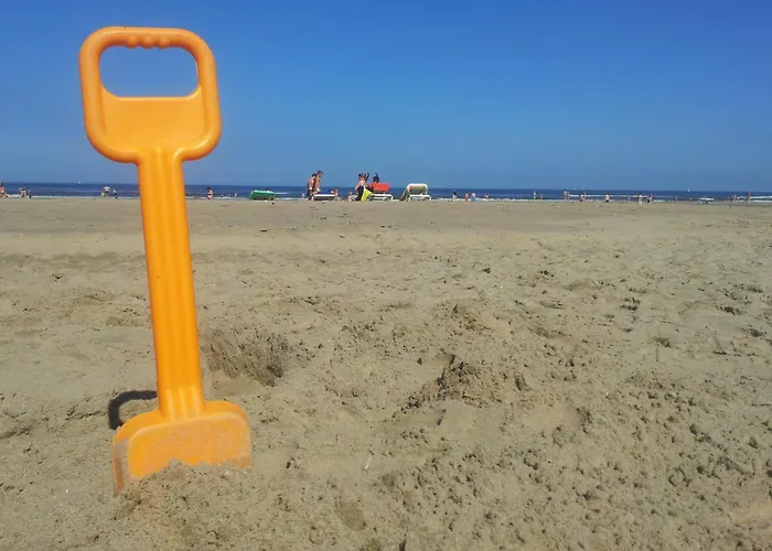 De Schelp 58 * Zandvoort