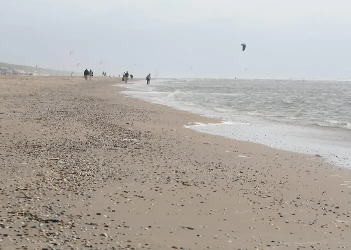 Lägenhet De Schelp 58