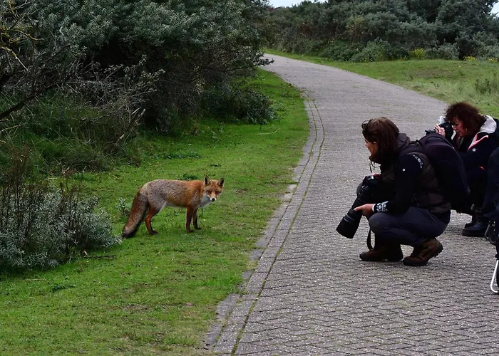 De Schelp 58 Lägenhet Zandvoort