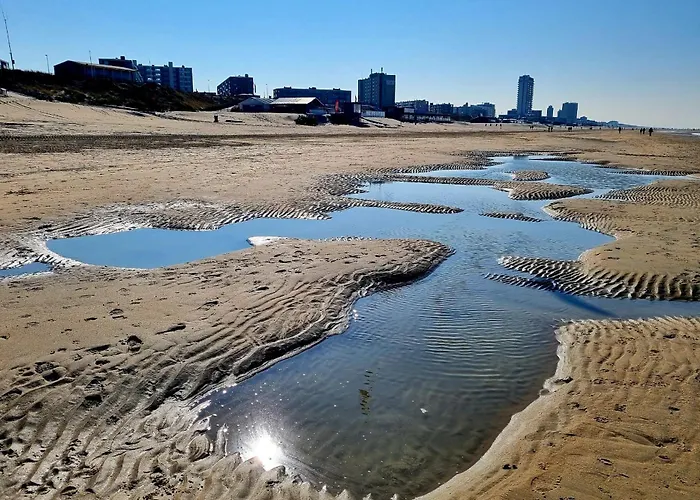 De Schelp 58 * Zandvoort