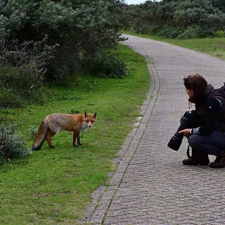 De Schelp 58 Apartamento Zandvoort